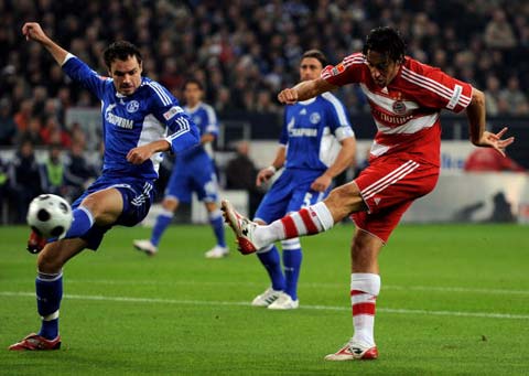 和多样的进 和多样的进